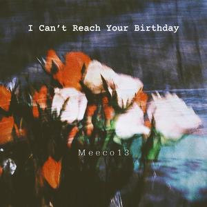 I Can't Reach Your Birthday