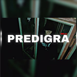 Predigra