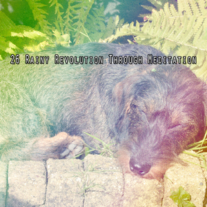 闪电、雷电和暴雨