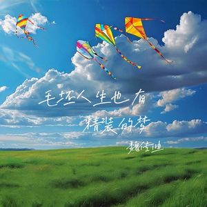 毛坯人生也有精装的梦