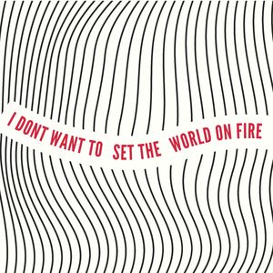 I Just Want to Be the One You Love (I Dont Want to Set the World on Fire)