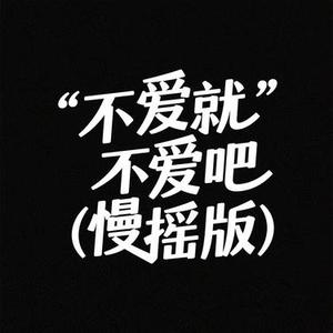 不爱就不爱吧 (慢摇版) (Remix)