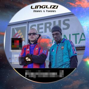 Zidanes & Pavones (Walou)