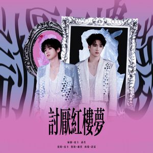 讨厌红楼梦（cover宋亚轩/严浩翔）