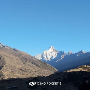 《知识殿堂的遨游》