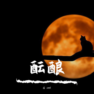 beat 酝酿 djsteel 水印