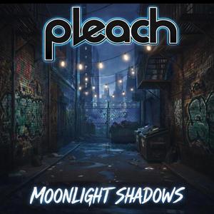 Moonlight Shadows