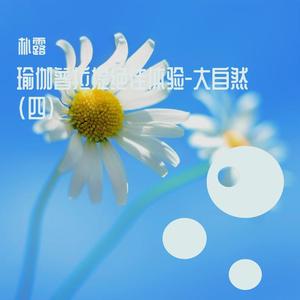 天下大同 (动听古筝曲)