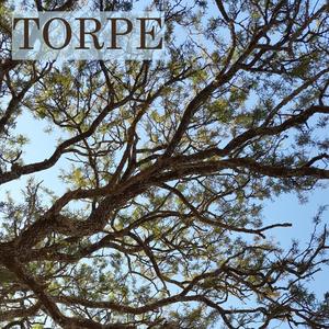 Torpe