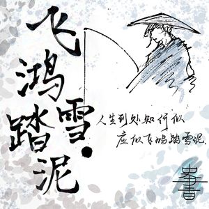 史書 · 飞鸿踏雪泥