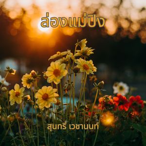 ล่องแม่ปิง