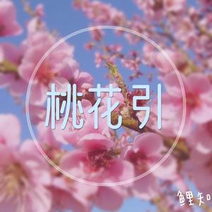 桃花引（伴奏）