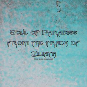 Soul of Paradise from the Track of Ziliath (The Dark Calls Me)