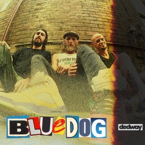 Bluedog