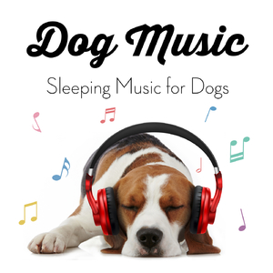 Calming Music for Dogs
