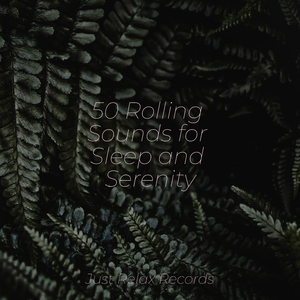 Solitary Dunescape Symphony