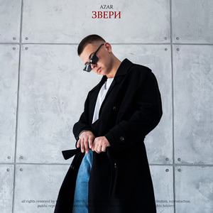 Звери