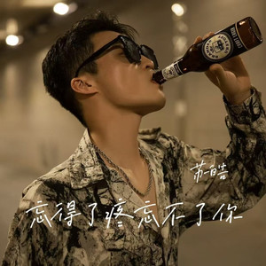 忘得了疼忘不了你 (DJ阿能版)