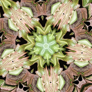 We can connect with our innermost self