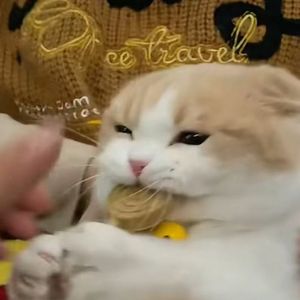 修改音质-没关系1