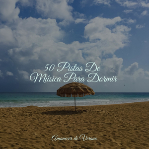 El Abrazo Desplegable de la Canción de Cuna Silenciosa