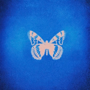 Light(prod.by Morrow x Aye叶师傅)