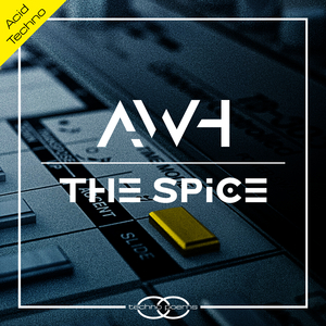 The Spice (André Wildenhues Acid Mix)