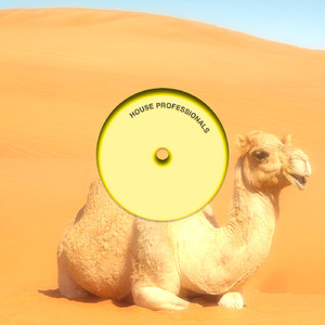 House Professionals (Extended Club Mix)