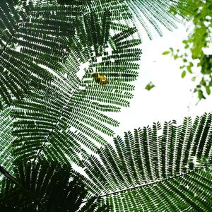 崇左导游 --beat Prod by RYUU