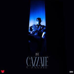 Cazzate