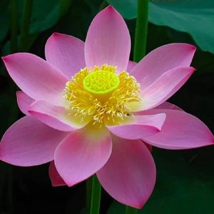 不要再有让自己心痛的雨季