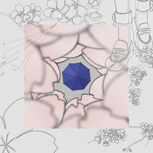 花時雨、定めのように