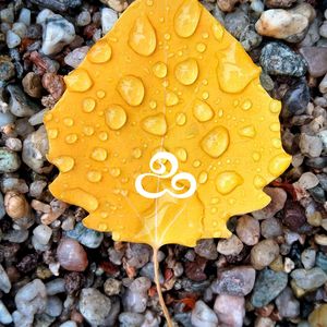 律动青春（钢琴曲）