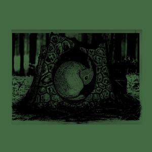 EARTHRISE (feat. Greybloom)