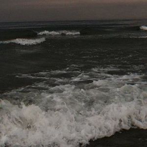 I don't trust nobody