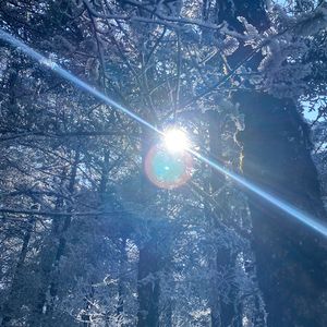 冬梦（prod.by Morrow）