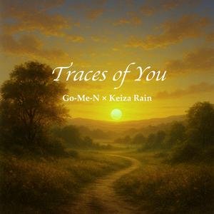Traces of You