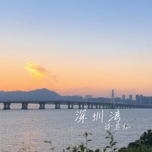 深圳湾