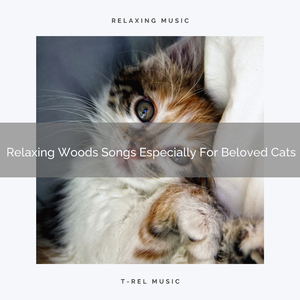 Complex Waves Songs For Your Beloved Cats