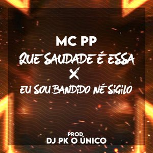 Que Saudade É Essa X Eu Dou Bandido Né Sigilo