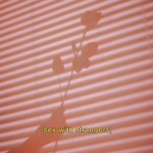 Sex With Strangers