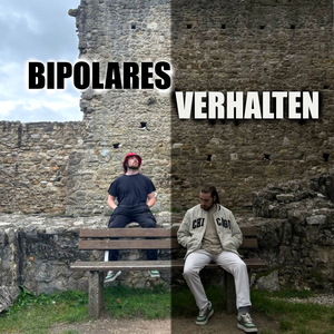 Bipolares Verhalten