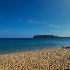 vieques