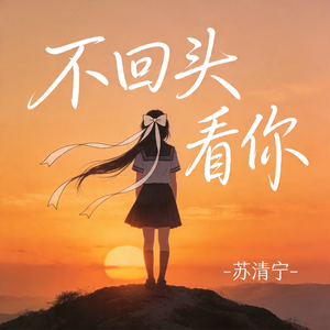 不回头看你