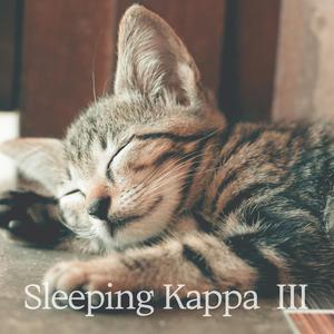 秒睡進入夢鄉！！120分鐘不間斷睡眠音樂，療癒音樂，音樂治療，讓您的毛小孩陪伴您一起入夢！！
