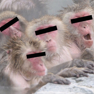 恋音と雨空（Cover AAA）