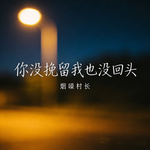 你没挽留我也没回头