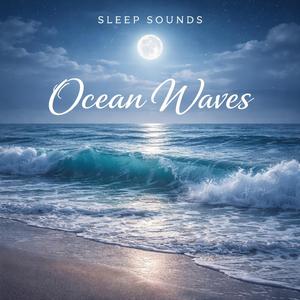 Fireplace Crackling Calm