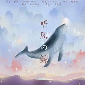 听风的鲸