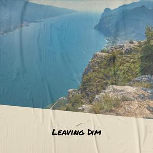 Leaving Dim